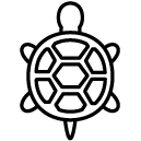 turtle line Icon