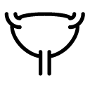 uterus line Icon copy