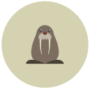 walrus Flat Round Icon