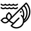 whale line Icon
