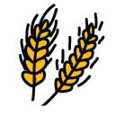 wheat Doodle Icons