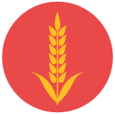 wheat Flat Round Icon