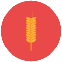 wheat Flat Round Icon