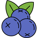 Blueberries line icon