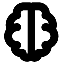 Brain line icon
