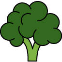 Brocolli line icon