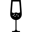 Champagne Glass line icon