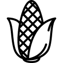 Corn_1 line icon