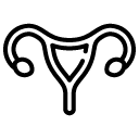 Female Reproductive System line icon