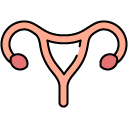 Female reproductive system filled outline icon