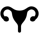 Female reproductive system solid icon