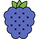 Grapes line icon