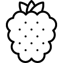 Grapes line icon