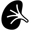 Kidney solid icon
