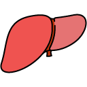 Liver filled outline icon