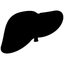 Liver solid icon