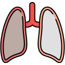 Lungs filled outline icon