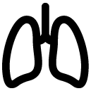 Lungs line icon