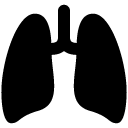 Lungs solid icon