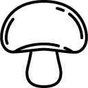 Mushroom line icon
