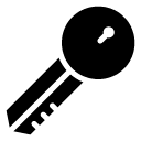 Round Key glyph Icon