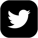 Twitter_1 solid icon