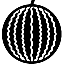Water melon line icon