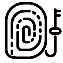 fingerprint key line Icon