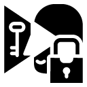 lock view key glyph Icon
