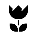 macro glyph Icon