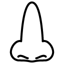 nose line icon