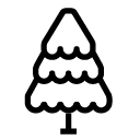 pine tree line Icon