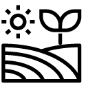 plant field line Icon