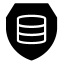 server security glyph Icon