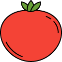 tomato line icon
