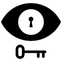 visbility key glyph Icon