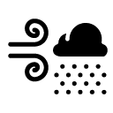 wind and rain cloud glyph Icon
