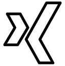 xing line Icon copy