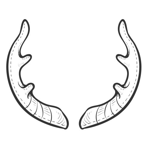 Vector-Illustration-antlers