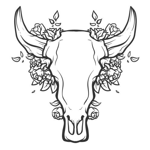Vector-Illustration-bull-skull