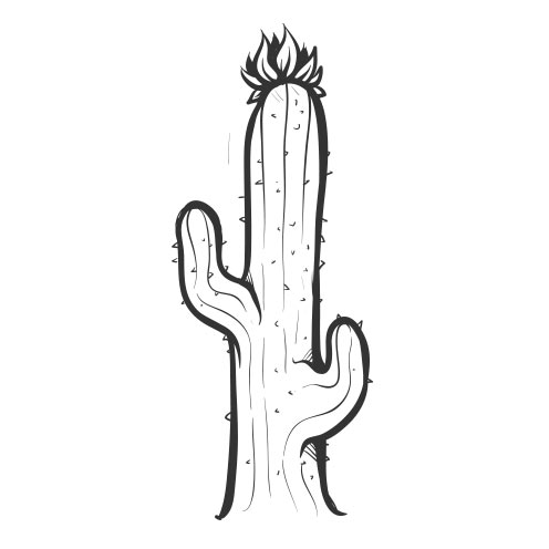 Vector-Illustration-cactus