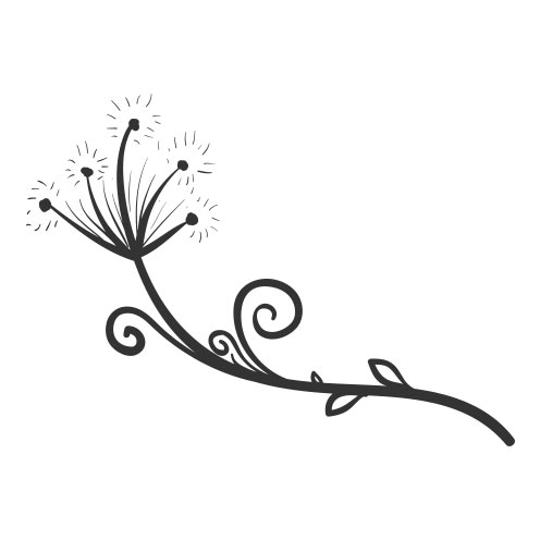 Vector-Illustration-dandelion