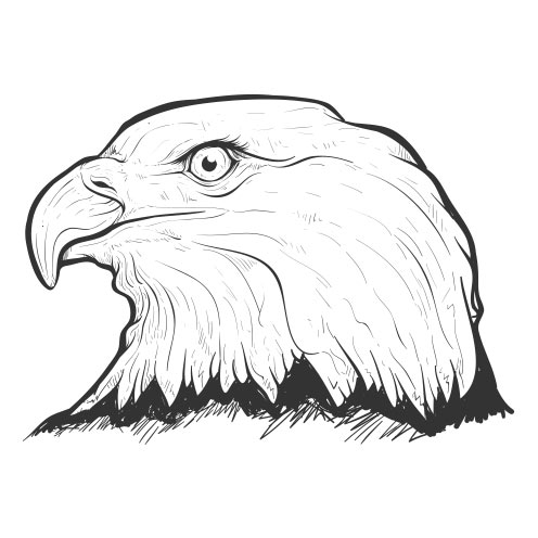 Vector-Illustration-eagle