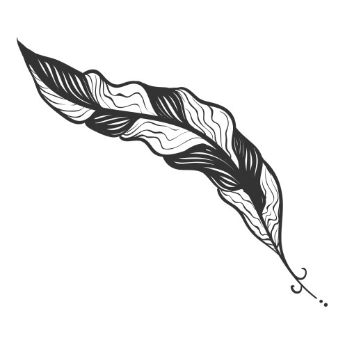 Vector-Illustration-feather-1