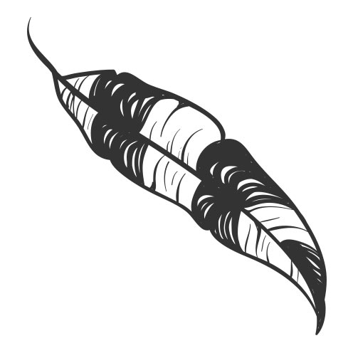 Vector-Illustration-feather-2