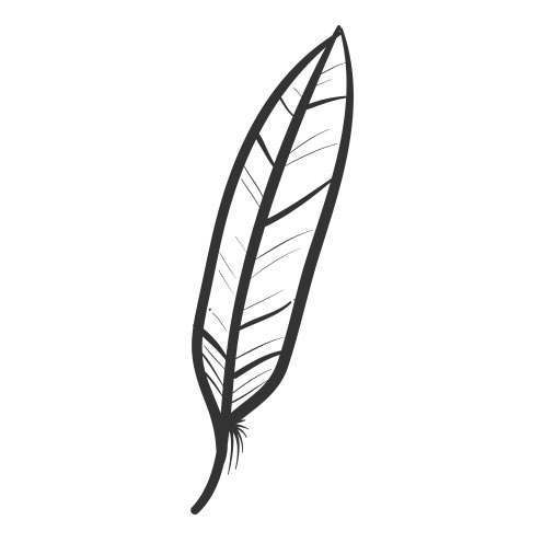 Vector-Illustration-feather-3