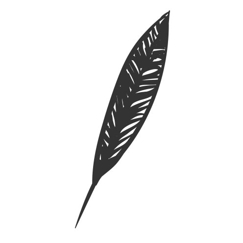 Vector-Illustration-feather-4