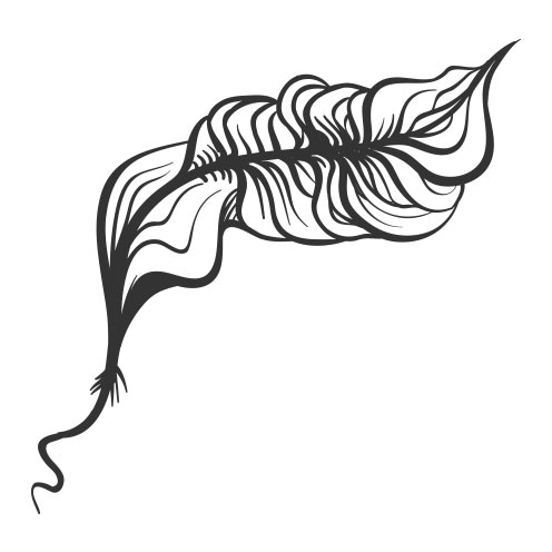 Vector-Illustration-feather-5