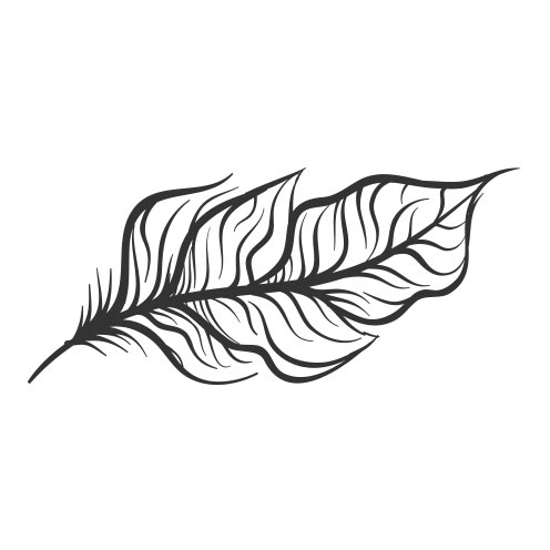 Vector-Illustration-feather-6