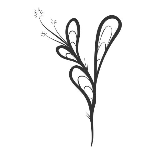 Vector-Illustration-flower-add-on
